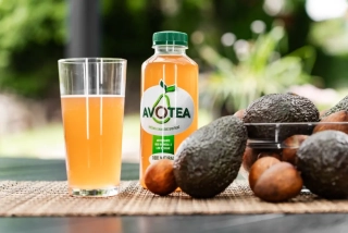 AvoTea 0,5l